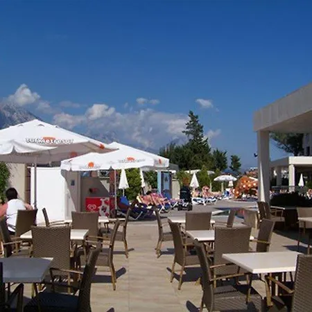 Отель Viking Star 4*